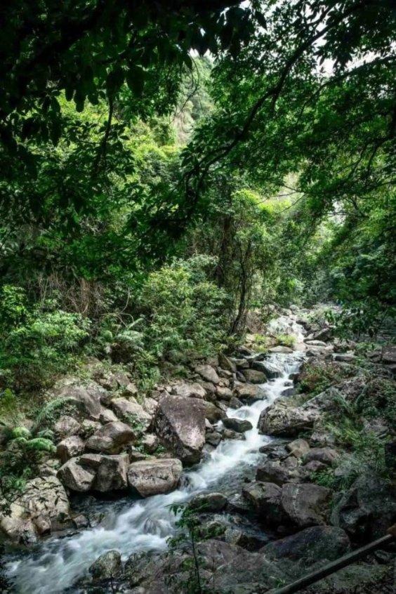 组织工程隆鼻能否缩小鼻翼呢?- 专业问答平台,回答解决你的疑问